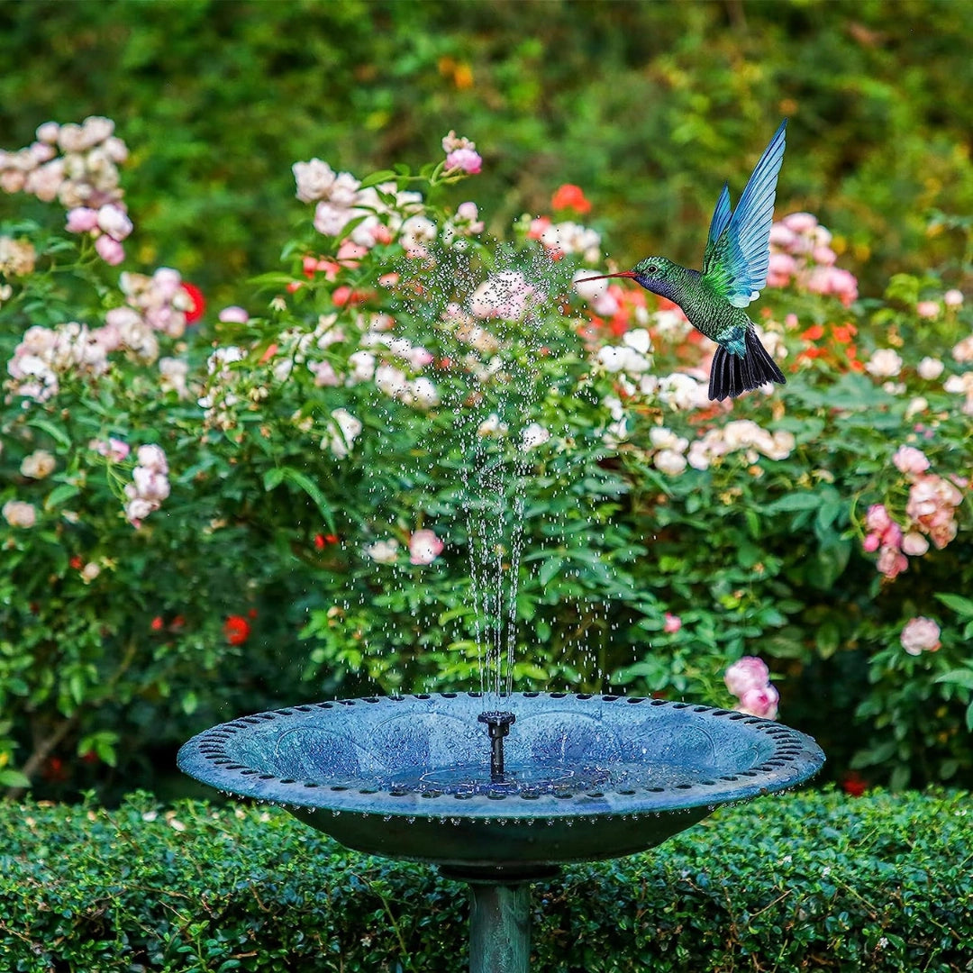 Solar-Powered Fountain