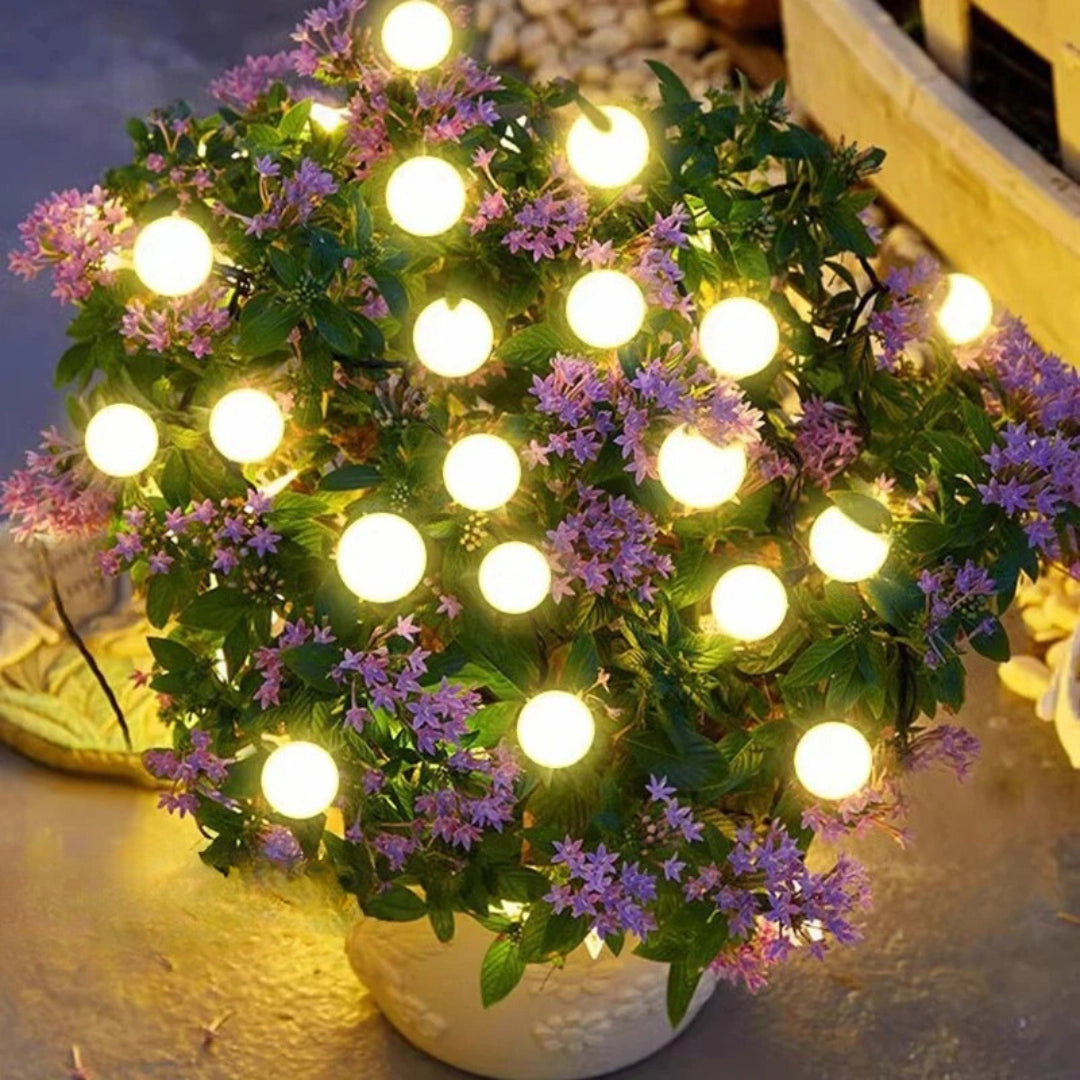 FireFly Lights® | Solar-Powered Garden Lighting